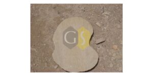 stepping stone